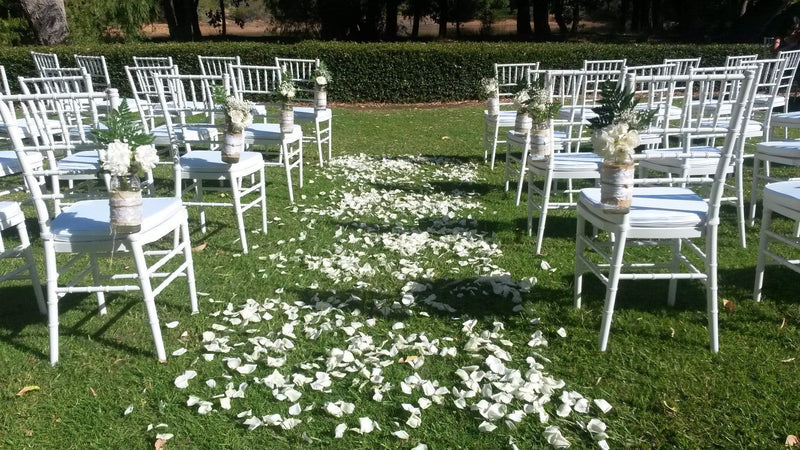 White Tiffany Chair for weddings