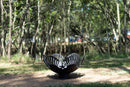 Fire Pit / Fire Brazier - HAMILTON